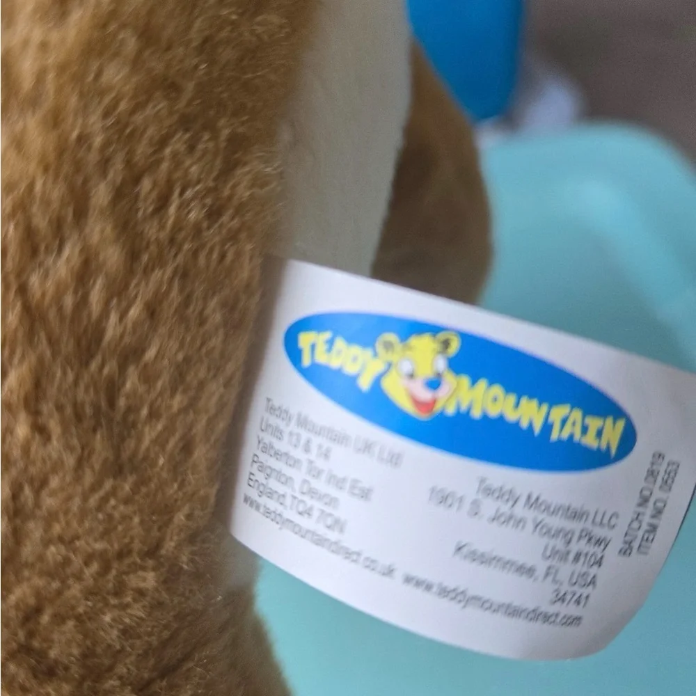 Teddy Mountain 16